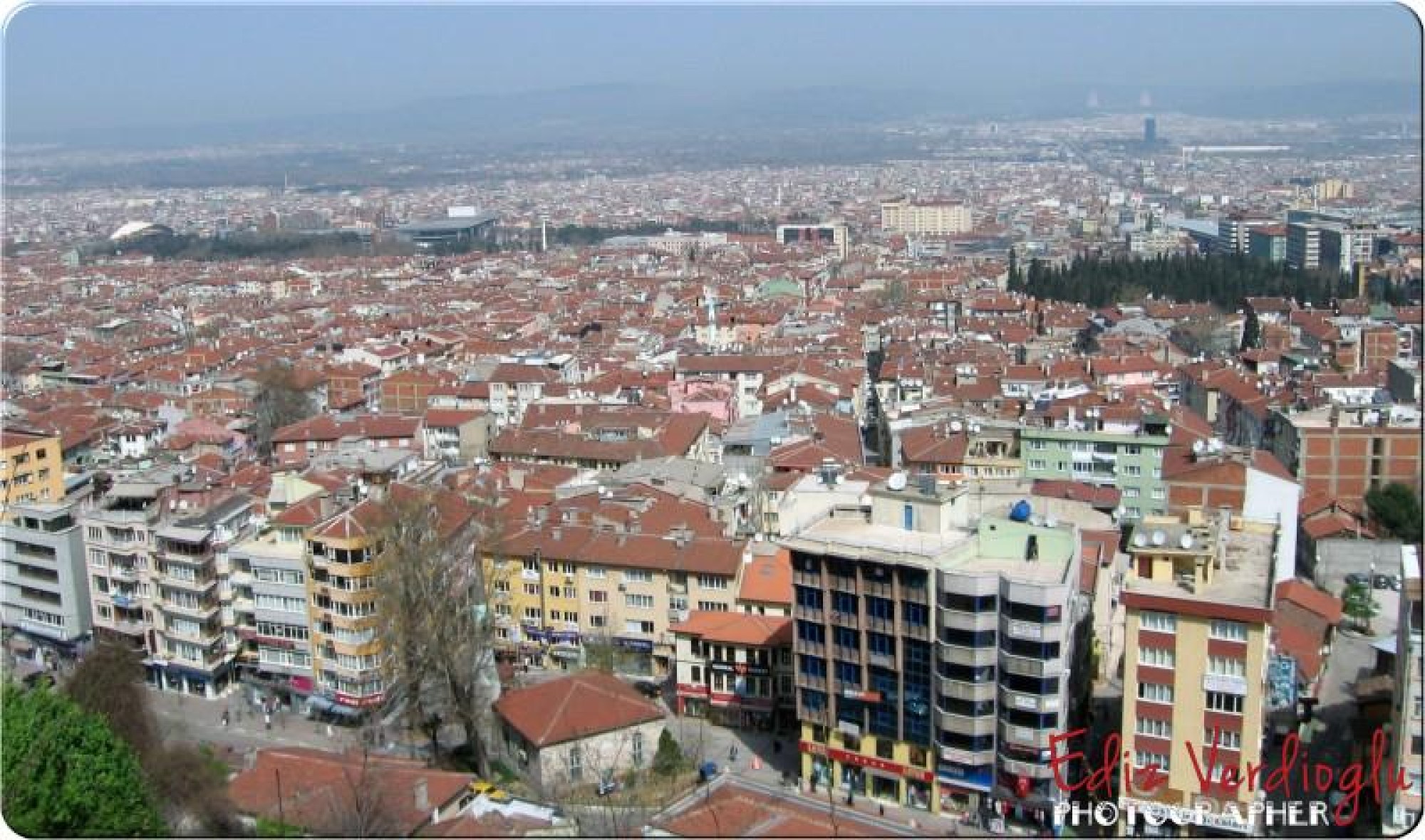 Portfolio image