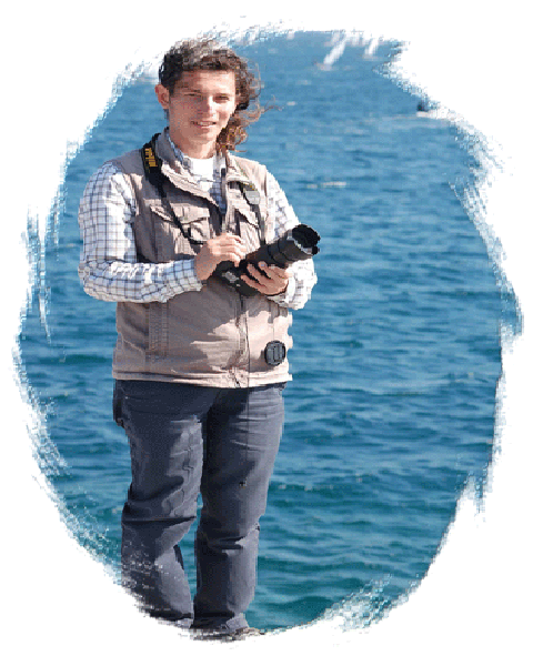 About image